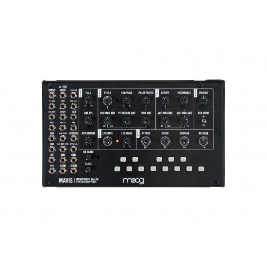 Moog Mavis